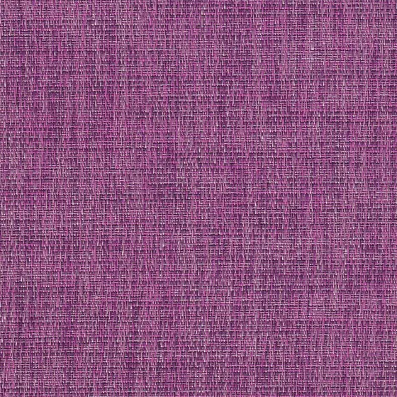 Matthiola colourway