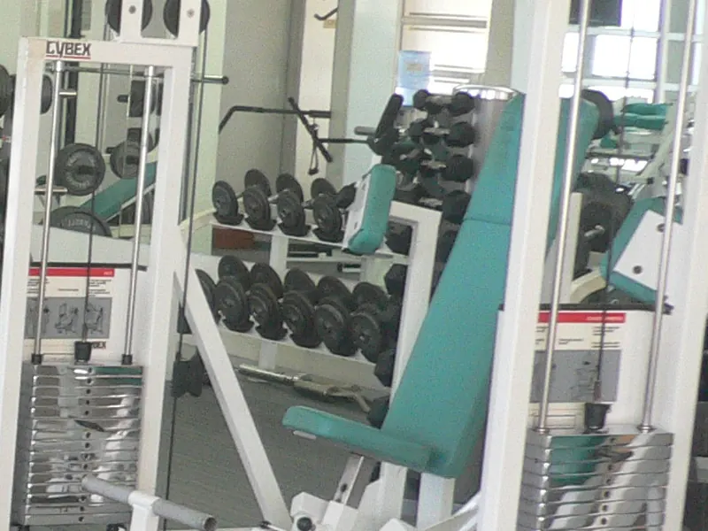 Dumbbell rack and free weights on woven vinyl flooring